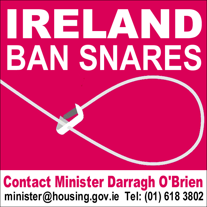 Ireland Ban Snares 2023 Oct copy