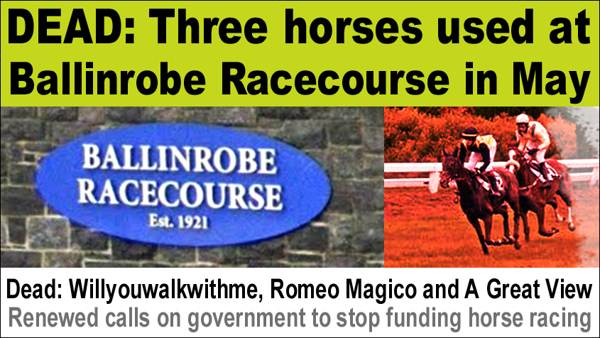 DEAD 3 horses used at Ballinrobe Racecourse on 27 28 May copy